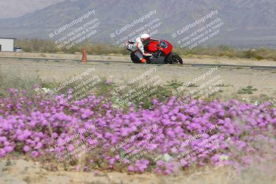 media/Feb-04-2023-SoCal Trackdays (Sat) [[8a776bf2c3]]/Turn 15 Inside Blooming (1050am)/